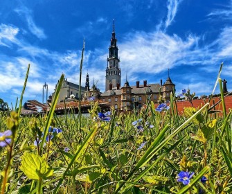 Price offer for 2024